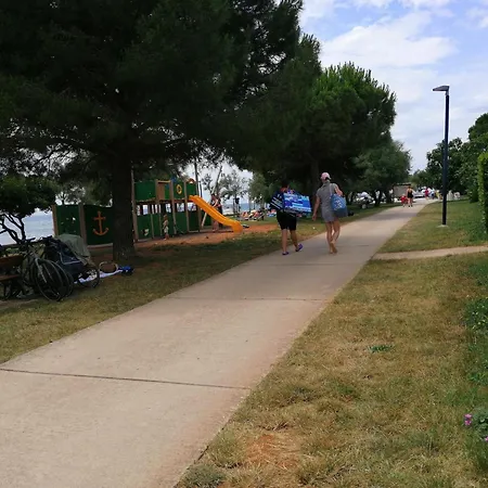 Queen Bee Novigrad (Istria)