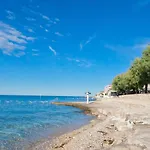 Queen Bee Novigrad Istria