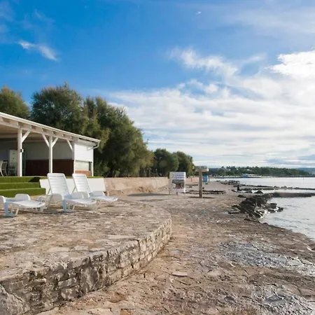 Queen Bee Novigrad Istria