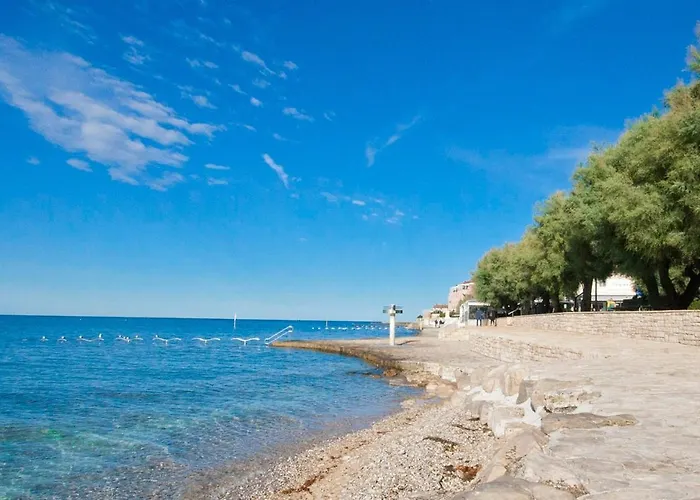 Queen Bee Novigrad Istria