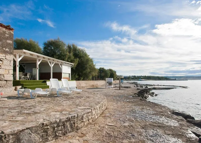 Queen Bee Novigrad Istria